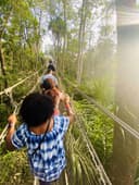 Fela & the Kalakuta Queens thumbnail