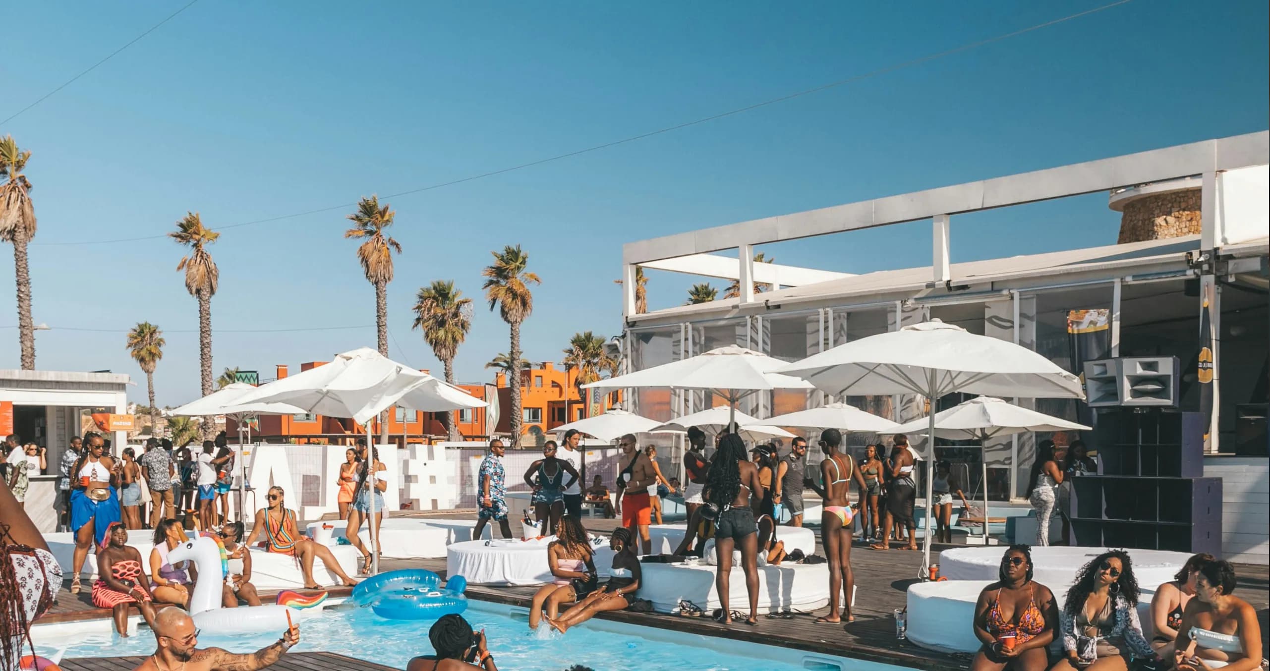 Sapphire Plus Bundle Background